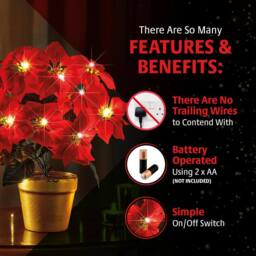 Coopers of Stortford Light-Up Potted Poinsettia with Warm White LEDs in Red - thumbnail 4