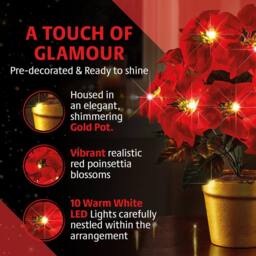 Coopers of Stortford Light-Up Potted Poinsettia with Warm White LEDs in Red - thumbnail 5