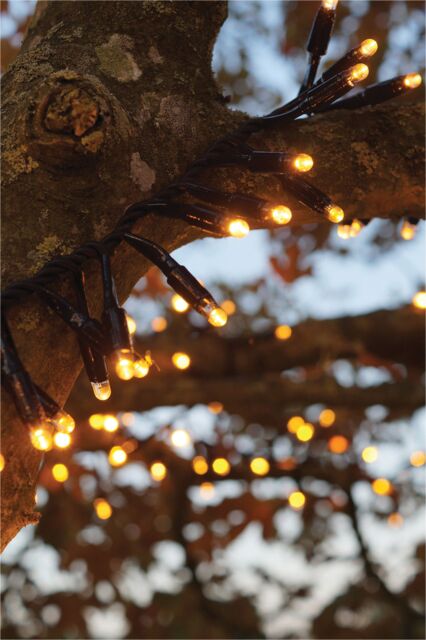Xmas Haus Cluster Lights Black Rubber IP65 5m/250 LED Copper Gold - image 1