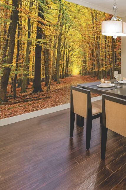 Origin Murals Autumn Forest Wall Mural - Size: W350 cm x H280 cm - image 1