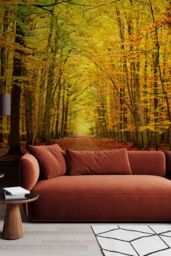 Origin Murals Autumn Forest Wall Mural - Size: W350 cm x H280 cm - thumbnail 4