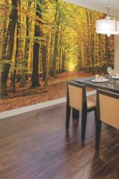 Origin Murals Autumn Forest Wall Mural - Size: W350 cm x H280 cm - thumbnail 1