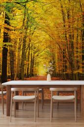Origin Murals Autumn Forest Wall Mural - Size: W350 cm x H280 cm - thumbnail 5