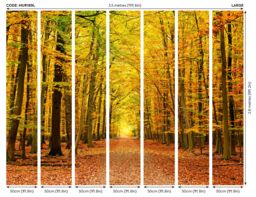 Origin Murals Autumn Forest Wall Mural - Size: W350 cm x H280 cm - thumbnail 6