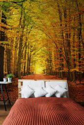 Origin Murals Autumn Forest Wall Mural - Size: W350 cm x H280 cm - thumbnail 3