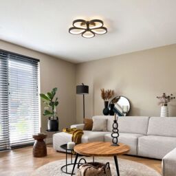 Garwarm Acrylic LED Flush Mount Ceiling Light in Black - thumbnail 3