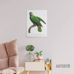 "Artery8 The Festive Amazon Parrot Levaillant Canvas Wall Art Print in White - Size: W12"" x H16""" - thumbnail 3
