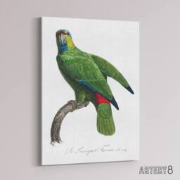 "Artery8 The Festive Amazon Parrot Levaillant Canvas Wall Art Print in White - Size: W12"" x H16""" - thumbnail 2