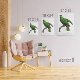 "Artery8 The Festive Amazon Parrot Levaillant Canvas Wall Art Print in White - Size: W12"" x H16""" - thumbnail 4