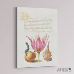 "Artery8 Pear Pink Tulip & Seashell Calligraphy Canvas Wall Art Print in White - Size: W12"" x H16""" - thumbnail 2