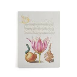 "Artery8 Pear Pink Tulip & Seashell Calligraphy Canvas Wall Art Print in White - Size: W12"" x H16""" - thumbnail 1