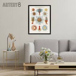 "Artery8 Marine Jellyfish in sea colourful Haeckel Framed Canvas Wall Art in White - Size: W12"" x H16""" - thumbnail 3