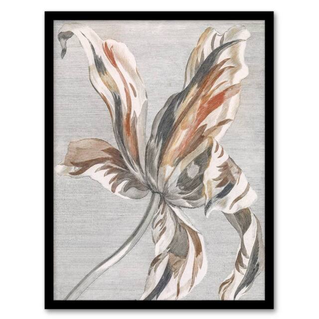Artery8 Tulip Flower Bloom Floral Painting Teyler Framed Wall Art Print in White - Size: A4 - image 1