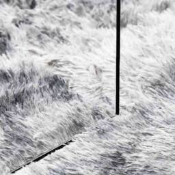 Berkfield Home Shaggy Rug High Pile NAVARRA Silver Grey 160x230 cm Polyester - Size: Medium - thumbnail 7