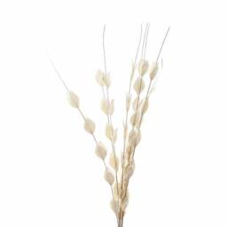 Lemon Pavilion Furniture and Decor Bouquet of Dried Thlaspi Arvense Artificial Plant, L16 x W16 x H120 cm in White - thumbnail 2