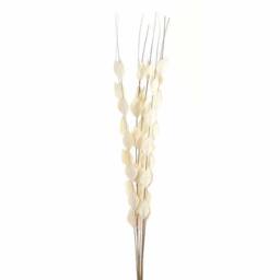 Lemon Pavilion Furniture and Decor Bouquet of Dried Thlaspi Arvense Artificial Plant, L16 x W16 x H120 cm in White - thumbnail 1