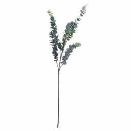 Lemon Pavilion Furniture and Decor Dollar Eucalyptus Artificial Plant - L20 x W56 x H104 cm - Silver in Green - thumbnail 1