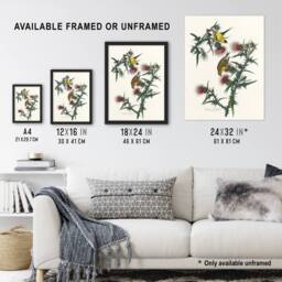 Artery8 American Goldfinch & Thistle Audubon Nature Framed Wall Art Print in White - Size: A4 - thumbnail 3