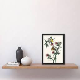 Artery8 American Goldfinch & Thistle Audubon Nature Framed Wall Art Print in White - Size: A4 - thumbnail 4