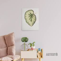 "Artery8 AF Lydon Benjamin Fawcett Begonia Marshall Leaf Canvas Wall Art Print in White - Size: W12"" x H16""" - thumbnail 3