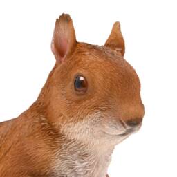 Naturecraft Squirrel - Large in Brown - thumbnail 3