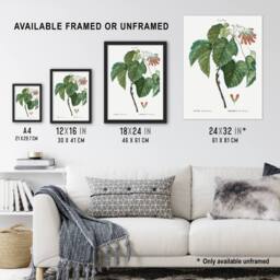 "Artery8 Acer Tataricum Botanical Redoute Vintage Wall Art Print Poster in White - Size: W12"" x H16""" - thumbnail 3