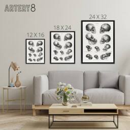 "Artery8 Human Monkey & Ape Skulls Visser Black Framed Canvas Wall Art in White - Size: W24"" x H32""" - thumbnail 4