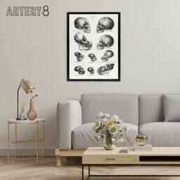 "Artery8 Human Monkey & Ape Skulls Visser Black Framed Canvas Wall Art in White - Size: W24"" x H32""" - thumbnail 3