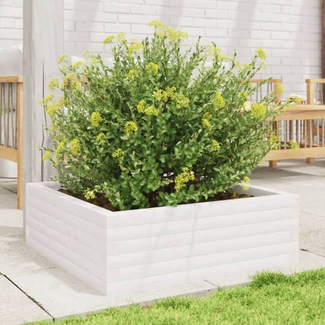 Berkfield Home Decorative Garden Planter White 70x70x23 cm Solid Wood Pine - Size: 70 x 70 x 23 cm - image 1