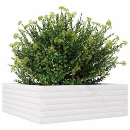 Berkfield Home Decorative Garden Planter White 70x70x23 cm Solid Wood Pine - Size: 70 x 70 x 23 cm - thumbnail 4