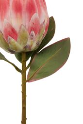 Orsina Fiori Artificial flowers 92cm Bird Of Paradise in Pink - thumbnail 4