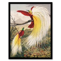 Artery8 Benjamin Fawcett Framed Wall Art Print Bird of Paradise Exotic Animal - Size: A4 - thumbnail 1