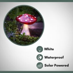 Marco Paul 2pck Large Solar Power Mushroom Garden Ornaments 23cm in Red - thumbnail 3