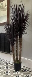 Leaf 155cm UV Resistant Artificial XL Triple Yukka Tree Plant Spiky Tree Triple Dark in Dark Brown - thumbnail 6