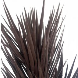 Leaf 155cm UV Resistant Artificial XL Triple Yukka Tree Plant Spiky Tree Triple Dark in Dark Brown - thumbnail 3