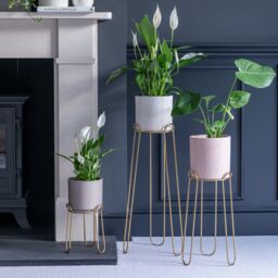 Ivyline Saluzzo Gold Plant Stand H44cm D22cm