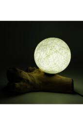 KDMD DriftGlow Cotton Luna Ivory Lamp - Natural Driftwood & Soft Light - thumbnail 4