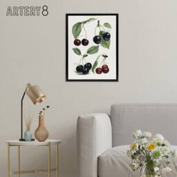 "Artery8 Vintage Illustration of Cherry Varieties Wright Framed Canvas Wall Art in White - Size: W12"" x H16""" - thumbnail 3