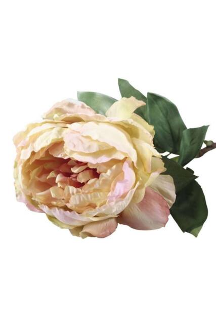 KDMD 71cm Single Peony Cream Blush Artificial Flowers - image 1