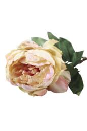 KDMD 71cm Single Peony Cream Blush Artificial Flowers - thumbnail 3