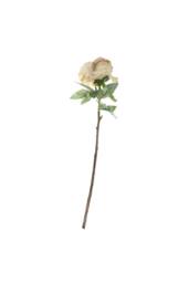 KDMD 71cm Single Peony Cream Blush Artificial Flowers - thumbnail 5