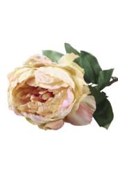 KDMD 71cm Single Peony Cream Blush Artificial Flowers - thumbnail 1