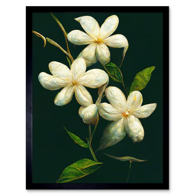 "Artery8 Wall Art Print Jasmine Flower Blooms Realism Painting With Black Art Framed - Size: W12"" x H16""" - image 1