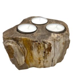 KDMD Petrified Wood Candle Holder - Triple in Brown