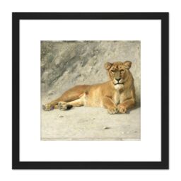 Artery8 Van Essen Lioness Resting Big Cat Painting 8X8 Inch Square Wooden Framed Wall Art Print Picture with Mount in Black - thumbnail 1
