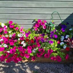 Woven Wood 1.4m Pine Raised Trough Planter in Natural - thumbnail 7