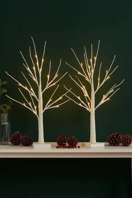 Neo Set of 2 LED Pre Lit Twig Tree Lights 60cm Birch Tree in Warm White - image 1