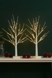 Neo Set of 2 LED Pre Lit Twig Tree Lights 60cm Birch Tree in Warm White