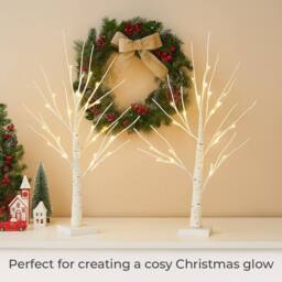 Neo Set of 2 LED Pre Lit Twig Tree Lights 60cm Birch Tree in Warm White - thumbnail 8
