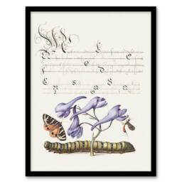 Artery8 Model Book of Calligraphy Framed Wall Art Butterfly Caterpillar & Flower in White - Size: A4 - thumbnail 1